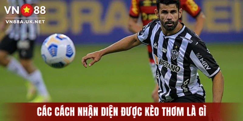 Các cách nhận diện được kèo thơm là gì
