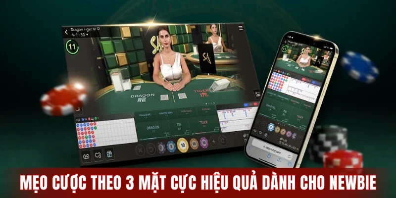 Mẹo cược theo 3 mặt cực hiệu quả dành cho newbie